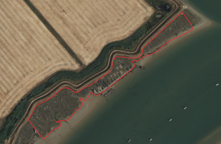 Farm Land - Saltings